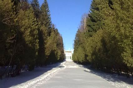 Санаторий Солнечногорский,Территория