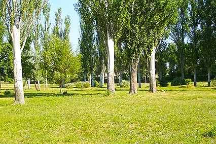 Детский лагерь отдыха Полярные зори,Территория